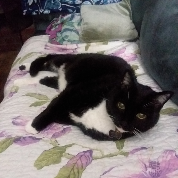 Meet your Posher, Catie - Picture 1 of 1